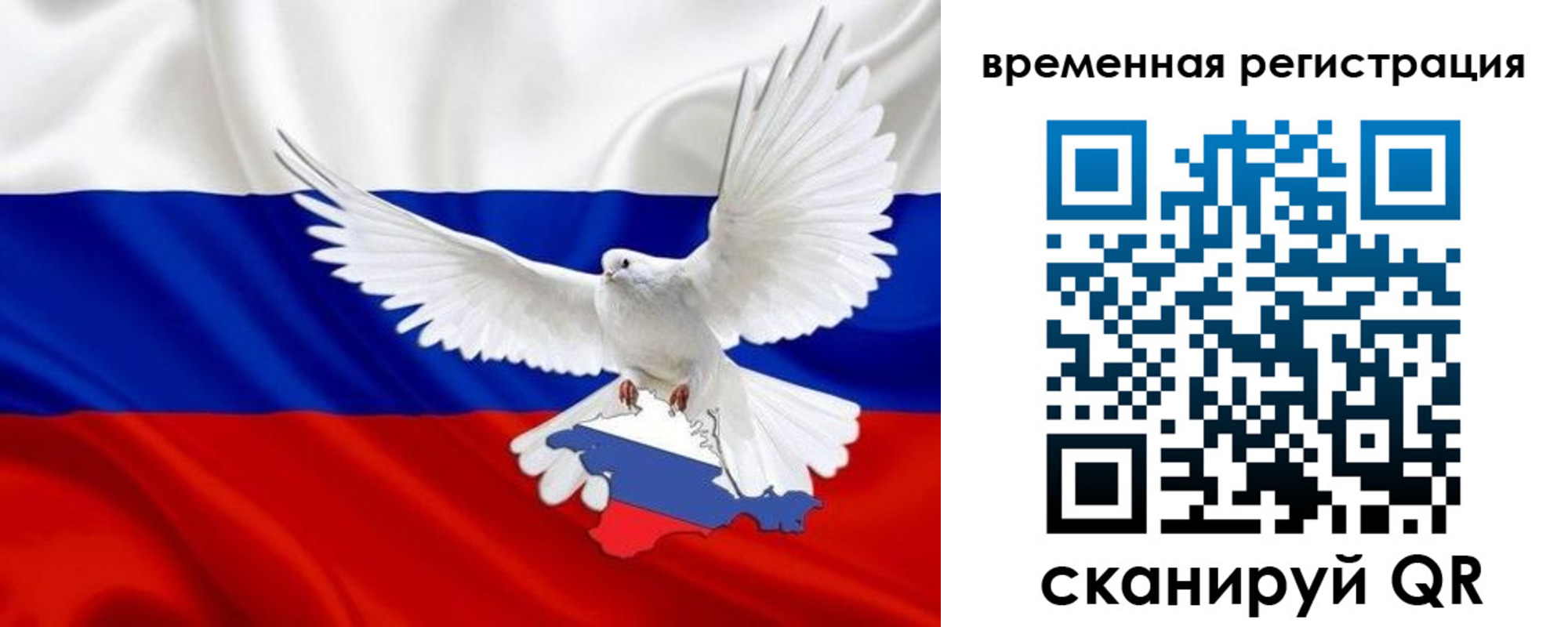 прописка законно в Михайлове